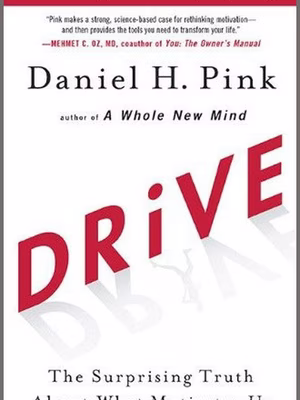 Drive: The Surprising Truth About What Motivates Us cover